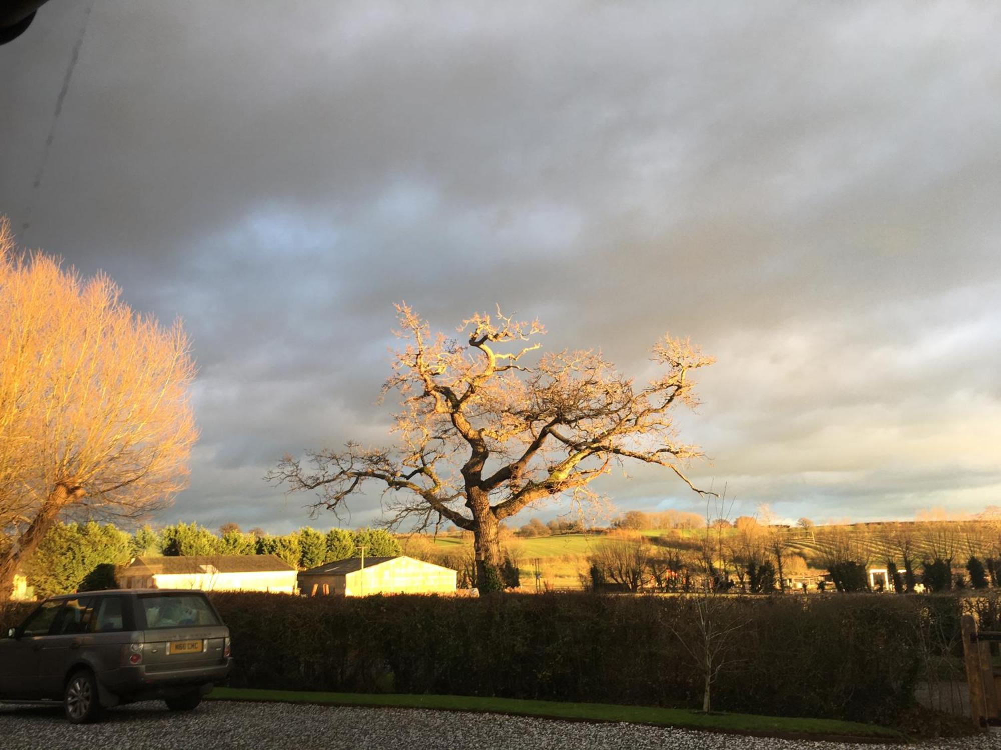 Oak Barn In The Cotswolds Near Moreton In Marsh Shipston-on-Stour Ngoại thất bức ảnh