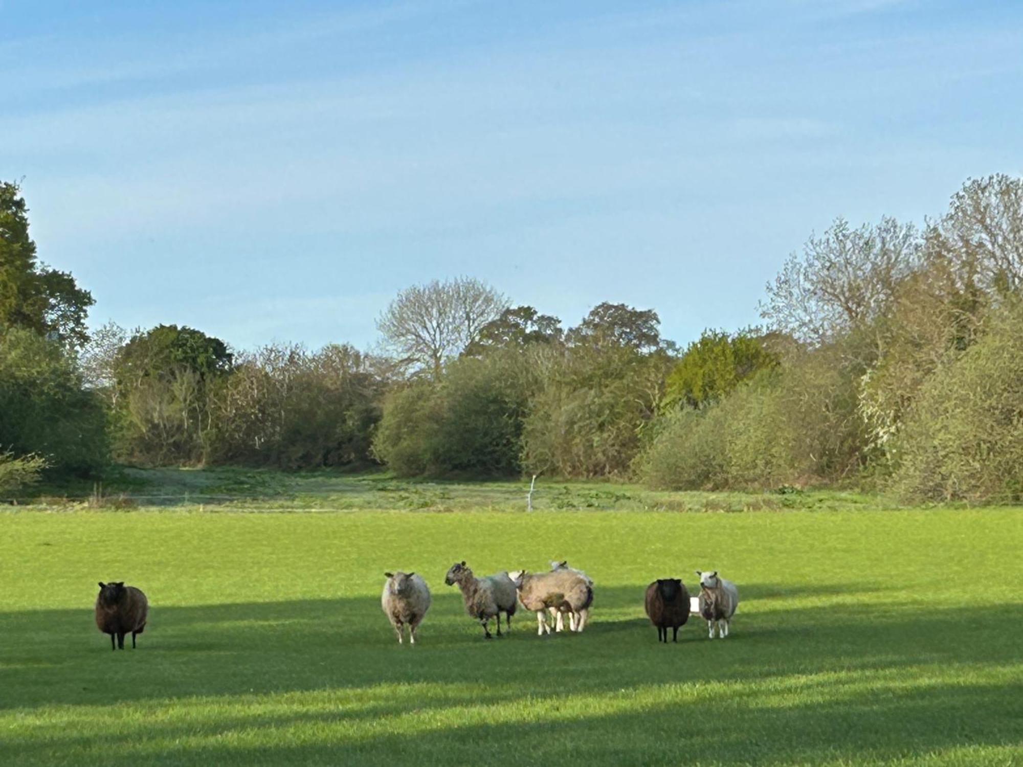 Oak Barn In The Cotswolds Near Moreton In Marsh Shipston-on-Stour Ngoại thất bức ảnh
